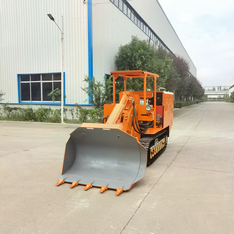 Cheap Side Unloading Rock Loader
