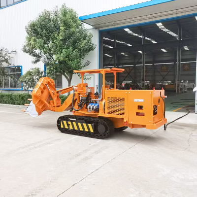 Low Type Side Dump Rock Loader