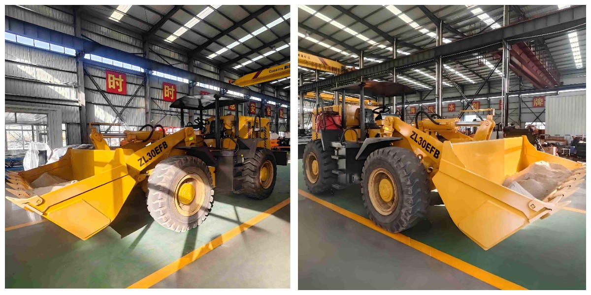 Cargadora minera en venta